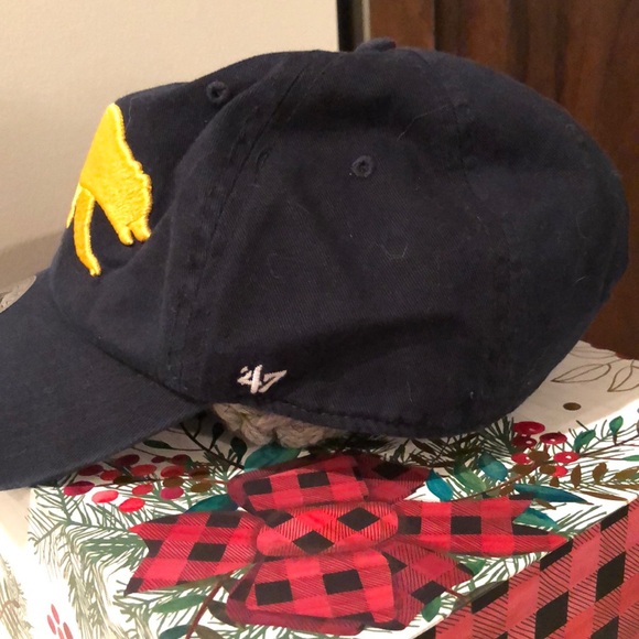 CALI Bear Hat NWT, never worn - Picture 2 of 3